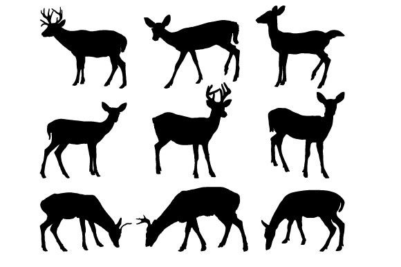 Download Key Deer Vector Graphic Design - Design Collection