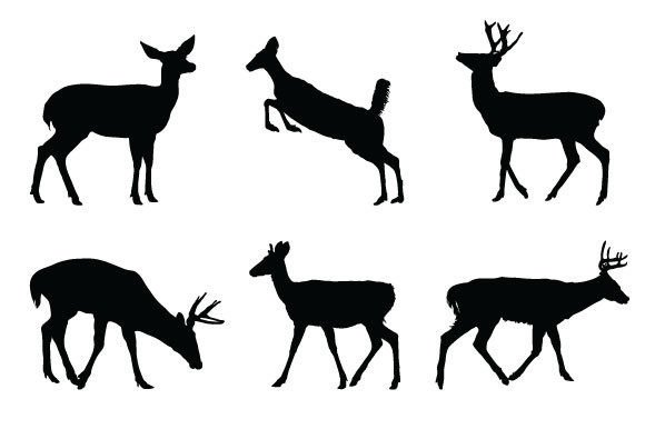 Download Deer Graphic Design - Design Collection