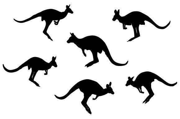 Download Kangaroo Vector Design - Design Collection
