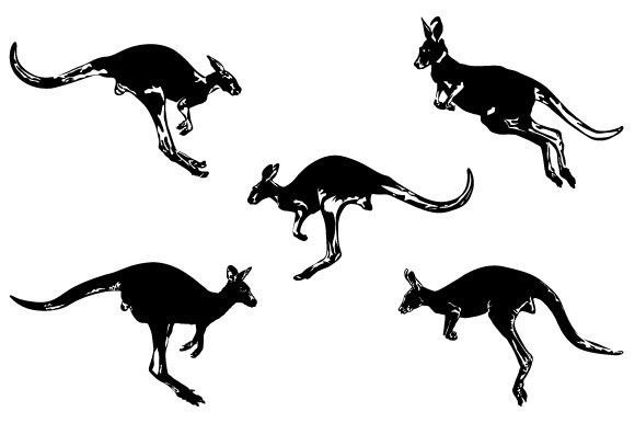 Download Kangaroo Vector Graphic Design - Design Collection