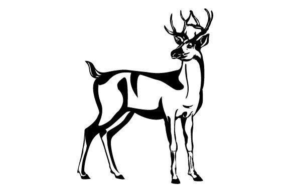 Download Deer Graphic SVG Design - Design Collection