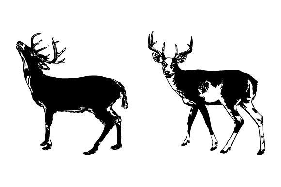 Download Deer Animal SVG Graphic Design - Design Collection